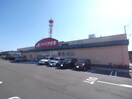 クスリのアオキ岐阜羽島駅前店(ドラッグストア)まで921m カルム横山