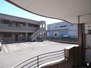  ロイヤルツイン