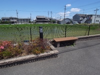オアシス