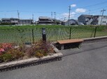 オアシス