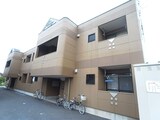 さくら　ｓｑｕａｒｅ
