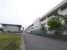 羽島市立竹鼻小学校(小学校)まで1542m パークサイドフローレンス