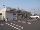 ミニストップ正木町店(コンビニ)まで574m アクシスヨーロッパ壱番館