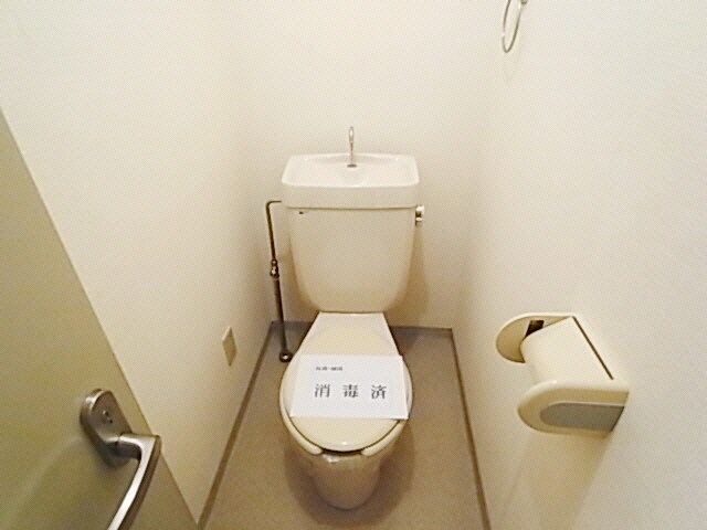  花水木