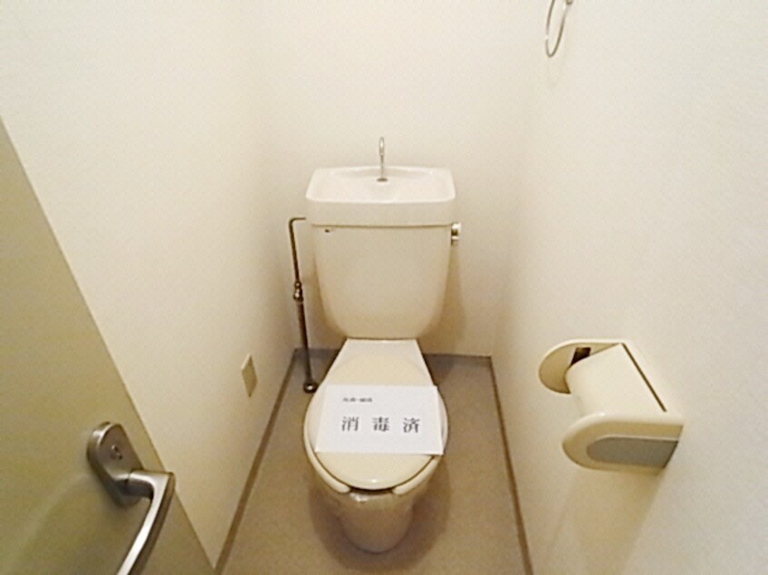  花水木