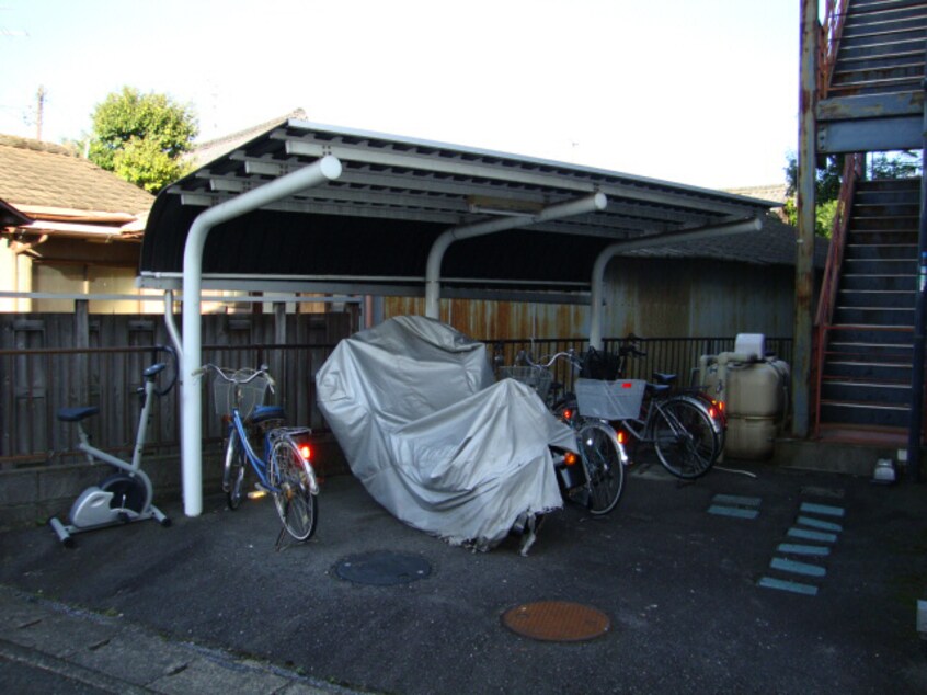 花水木
