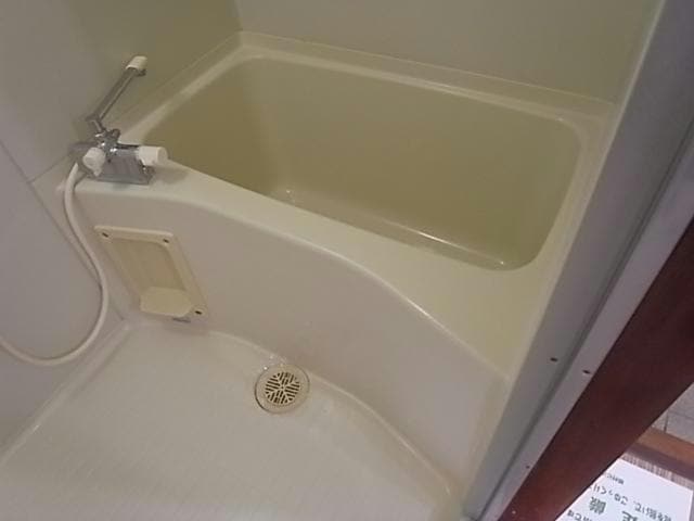  フィレンツェ岐阜