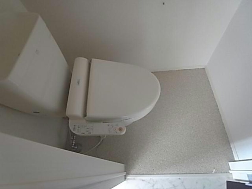  ハミングバード羽島