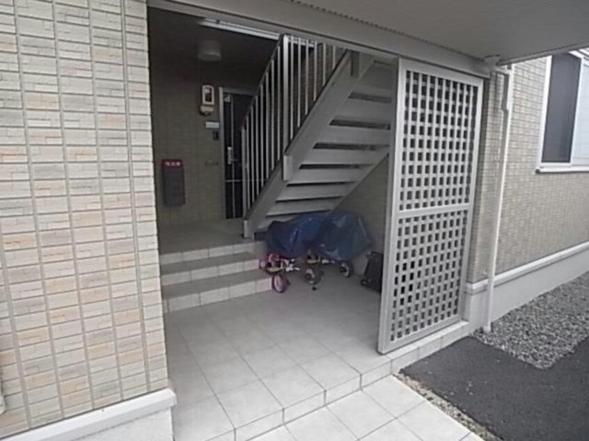  ハミングバード羽島