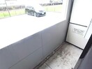  サン・エバーラストT