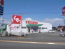 スギドラッグ安八店(ドラッグストア)まで1540m サンシャインヒロＡ