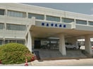 羽島市民病院(病院)まで2560m サン・ベルドミール