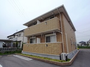 エレガンシア　ボニート