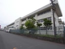 羽島市立竹鼻小学校(小学校)まで791m 宮脇マンションⅡ