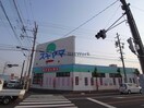 ドラッグスギヤマ羽島店(ドラッグストア)まで756m カーサジュネス