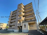 サンサンフラワー菊陽