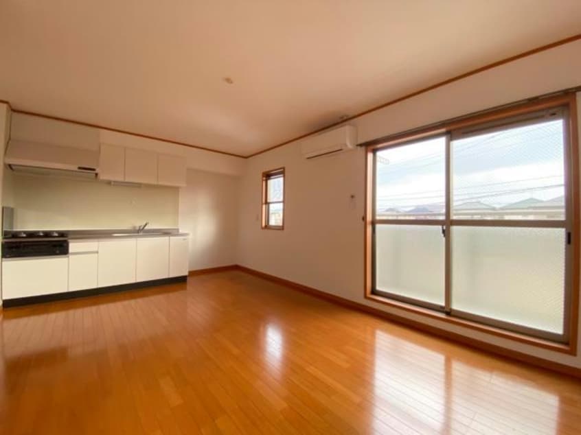  グラスグリーン菊陽