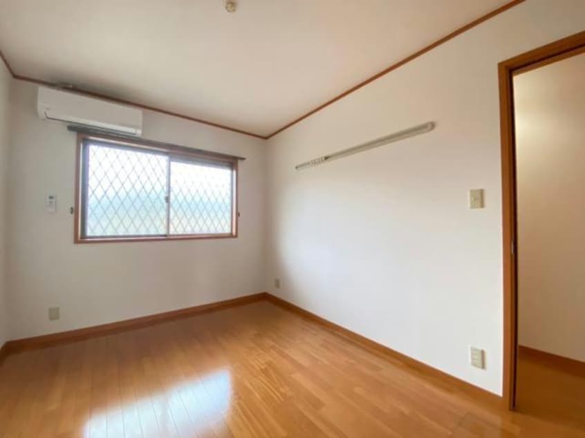  グラスグリーン菊陽