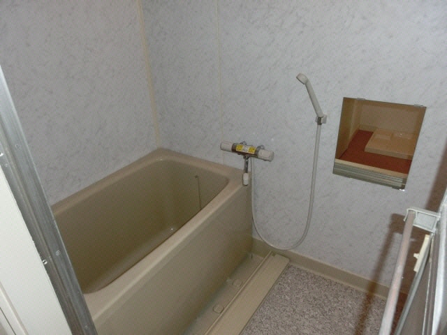  クオリア光の森