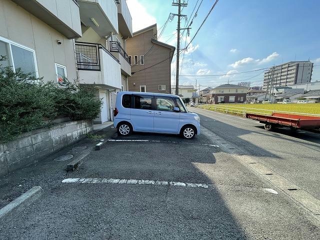  クオリア光の森