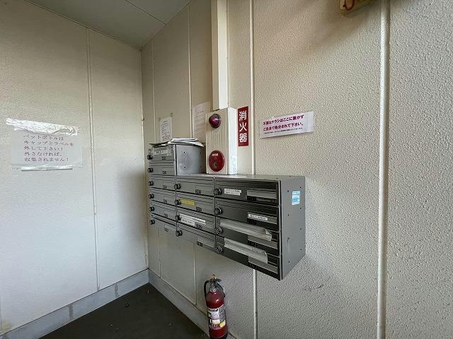  クオリア光の森