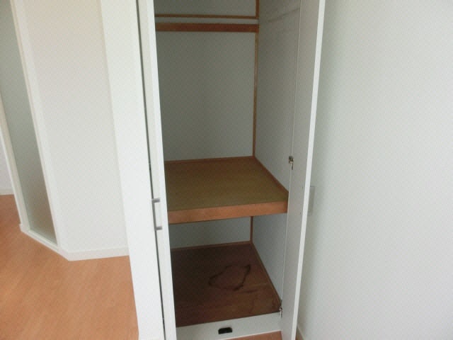  クオリア光の森