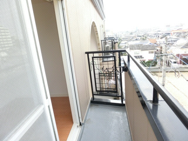  クオリア光の森