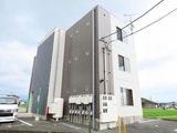 compact菊池