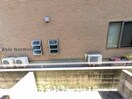  modern　palazzo　光の森