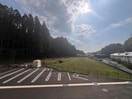  フェニックスアレシア