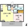 トリシアK 1LDKの間取り