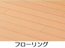  レピドールD