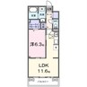 プリマ・ベラ 1LDKの間取り