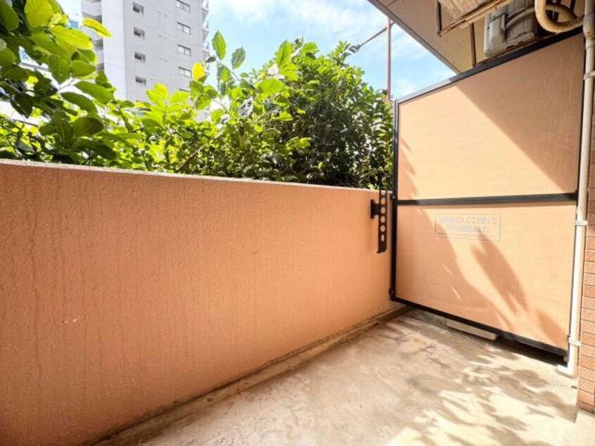  プチメゾン元浜館