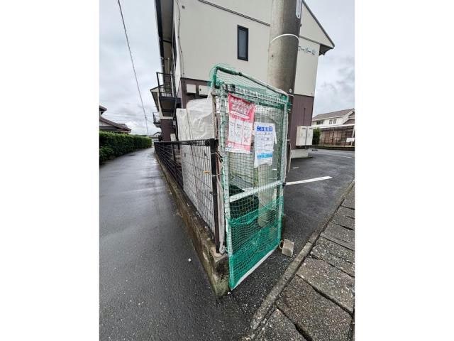  クローバー