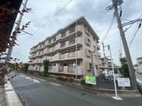 ヴィーブル宮の森