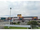 アピタ浜北店(スーパー)まで1762m 桃花