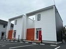 マロニエの木の外観
