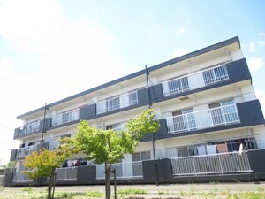 アベニールシライト