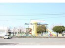 ひかり保育園(幼稚園/保育園)まで1538m カネイコート日開野Ⅱ