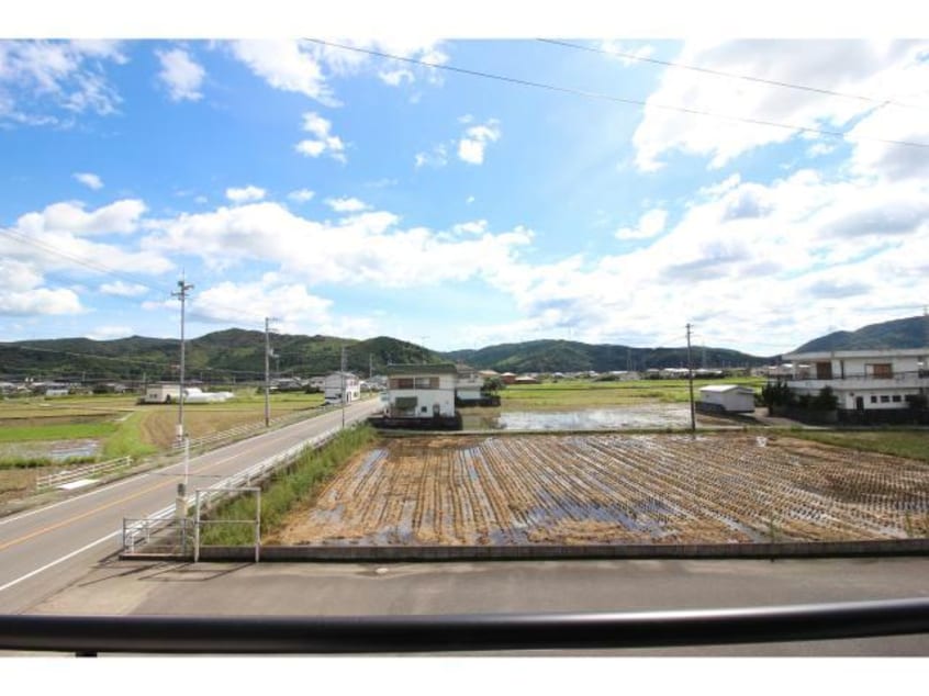  メゾンヘッジホッグ