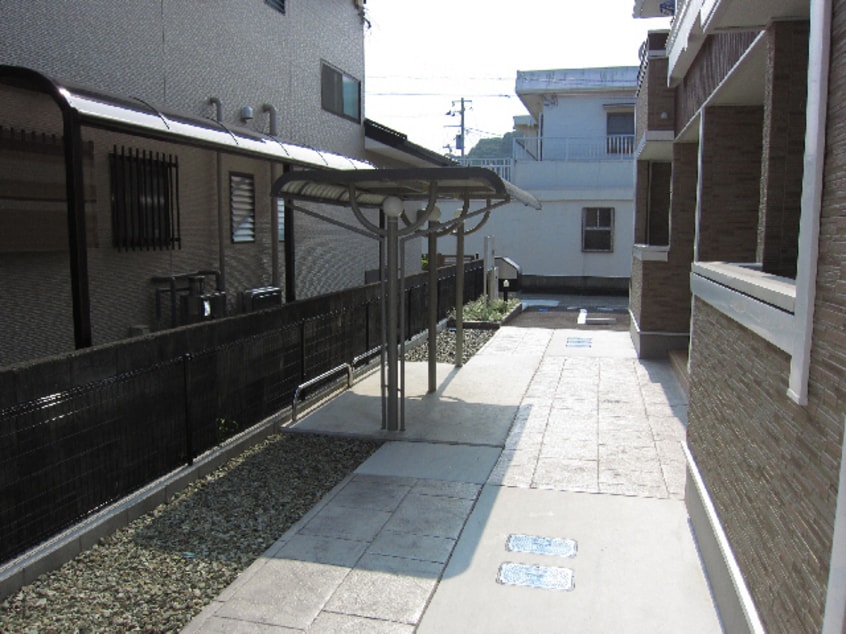  グリーンシトラス