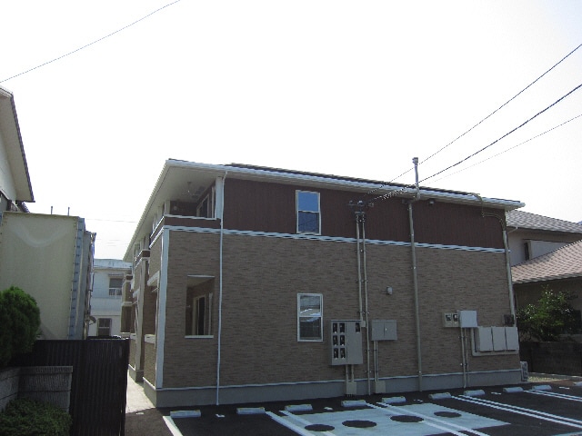  グリーンシトラス