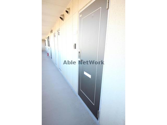  サンシャイン・コーダ