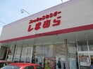 ファッションセンターしまむら津田店(ショッピングセンター/アウトレットモール)まで579m マルハⅡ番館