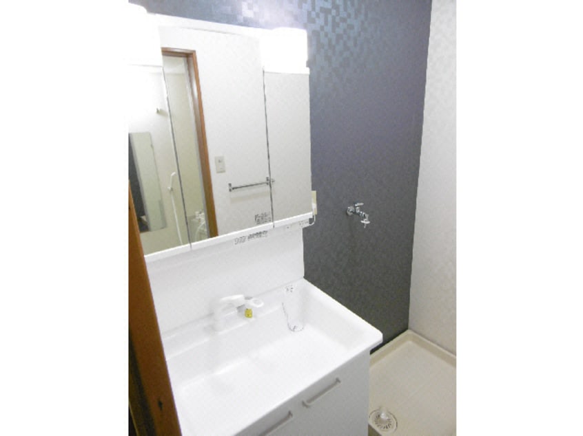 洗面脱衣所 リバーサイド幸泉