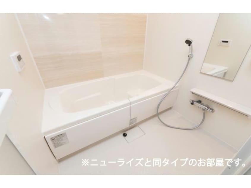 イメージ図 ボアソルチB