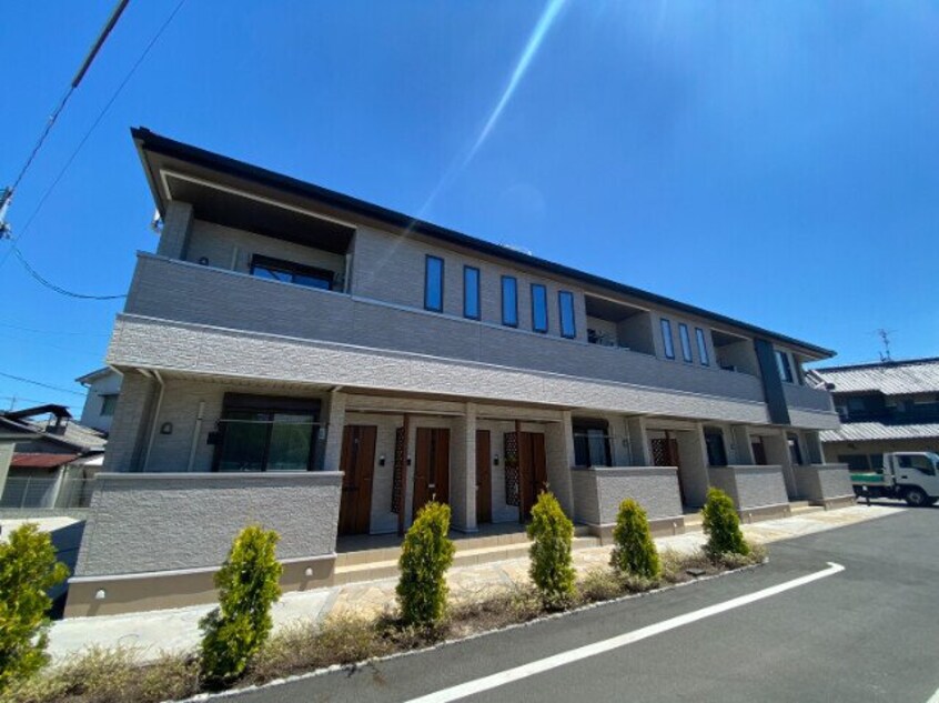  ウィステリア　コーキ　Ｂ