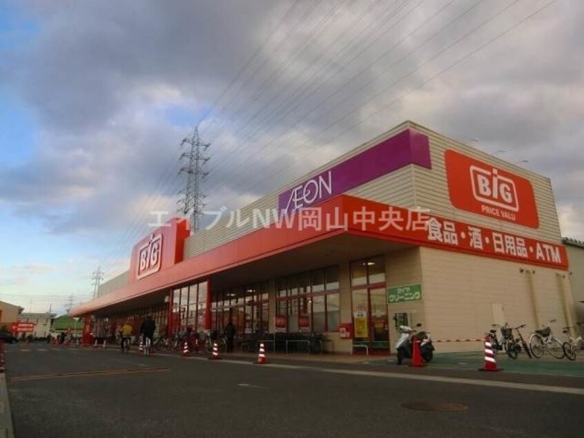 ザ・ビッグ奥田南店(ショッピングセンター/アウトレットモール)まで478m 奥田ハイツ