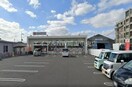 くすりのレデイ西市店(ドラッグストア)まで518m サンディスク　pivo03